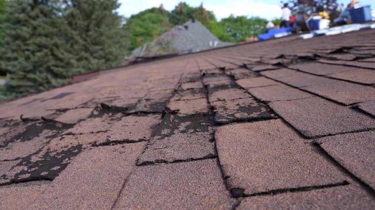Best Tile Roofing Installation  in Crestline, CA